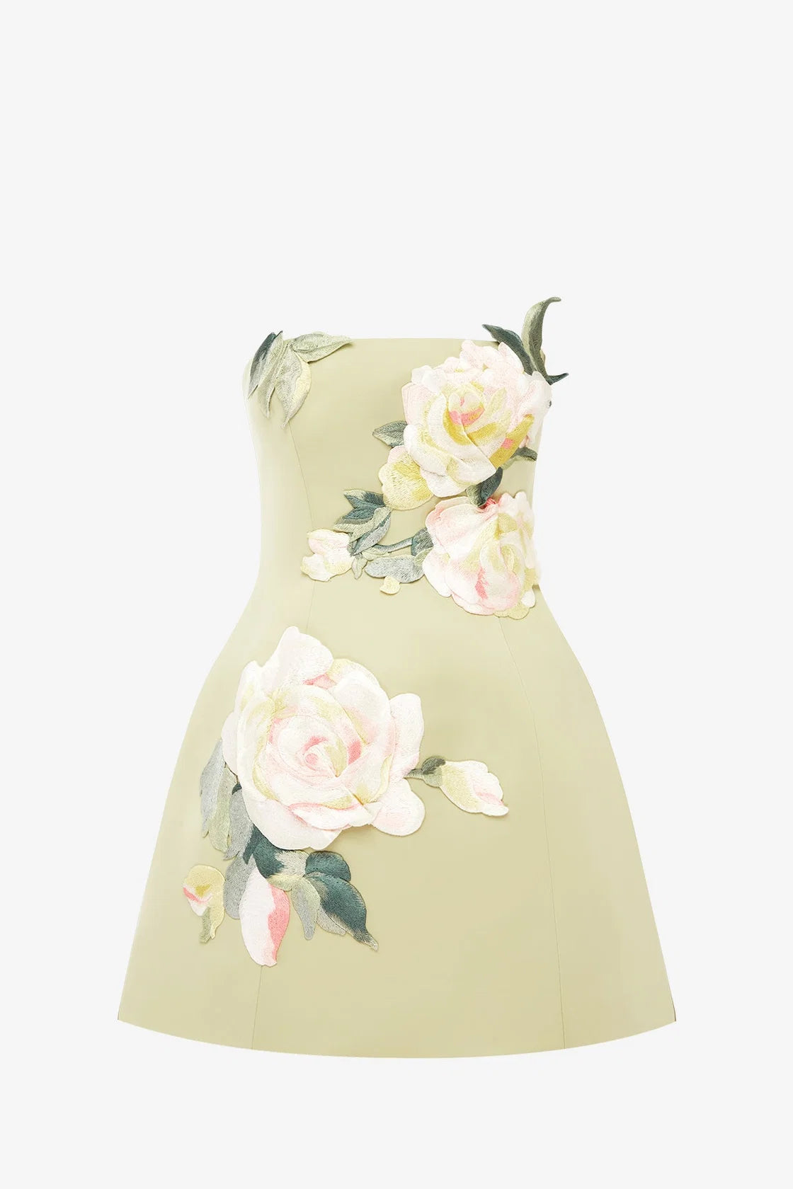 Roselle Embroidered Bustier Mini Dres