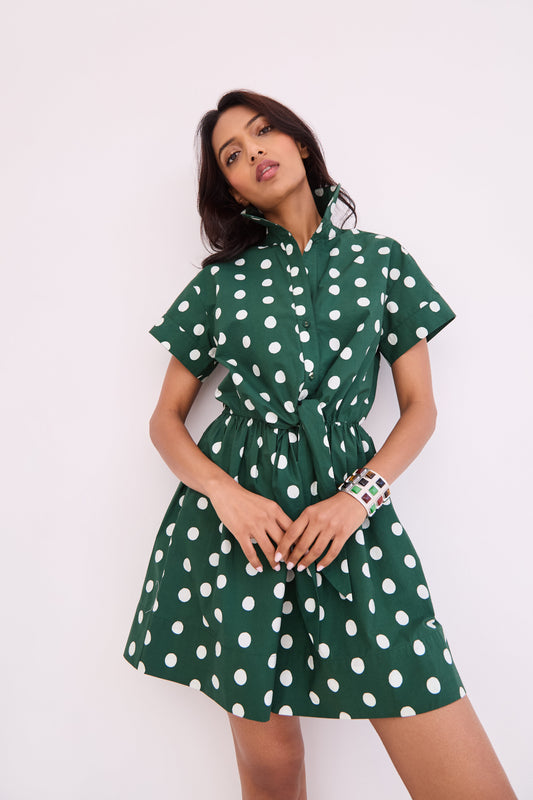 Asbury Mini Dress