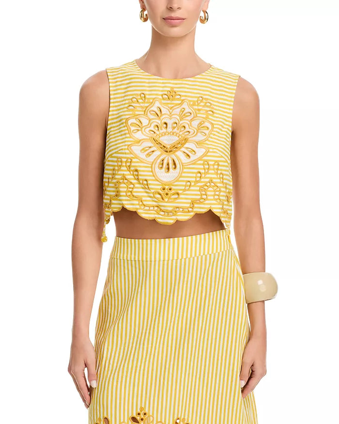 Bicolor Stripes Richilieur Sleeveless Crop Top
