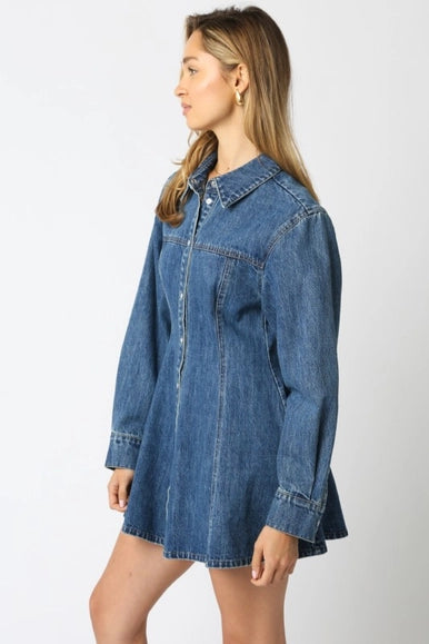 Angelina Denim Button Dress