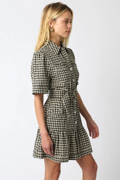Erika Checkered Belted Dress