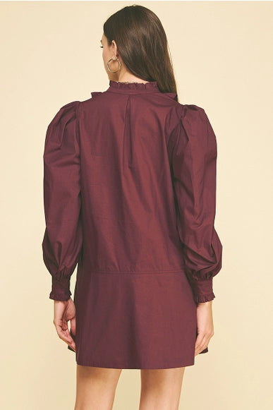 Ruffled Detail Mini Dress