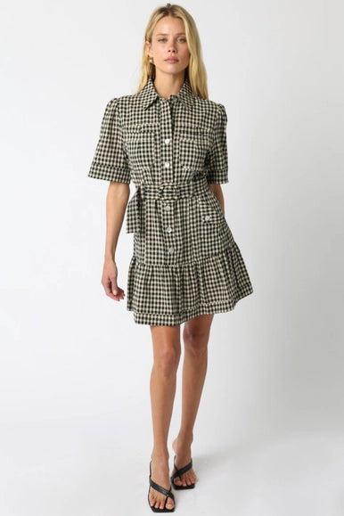 Erika Checkered Belted Dress