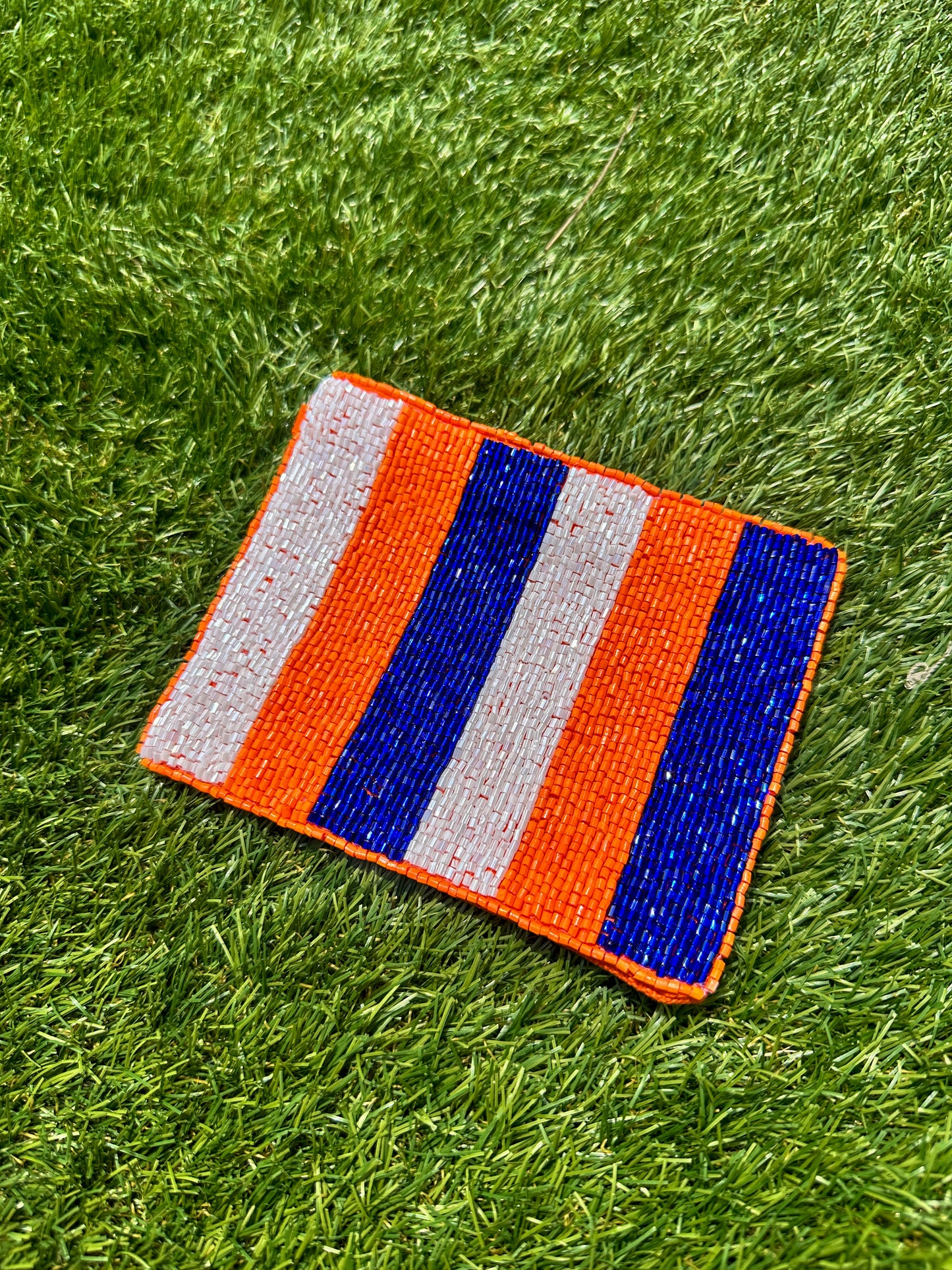 Game Day Purse Insert