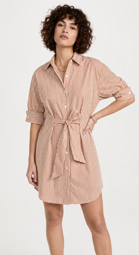 Burnt Orange Stripe Dress