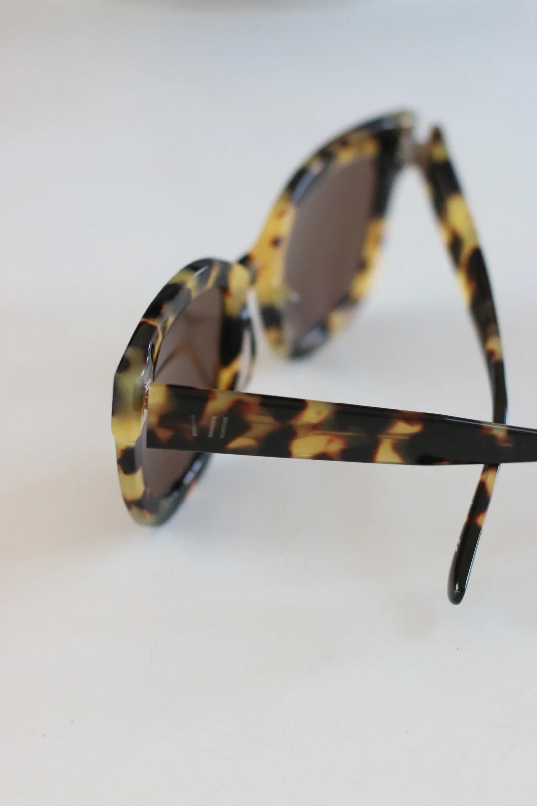 Lonestar Sunglasses