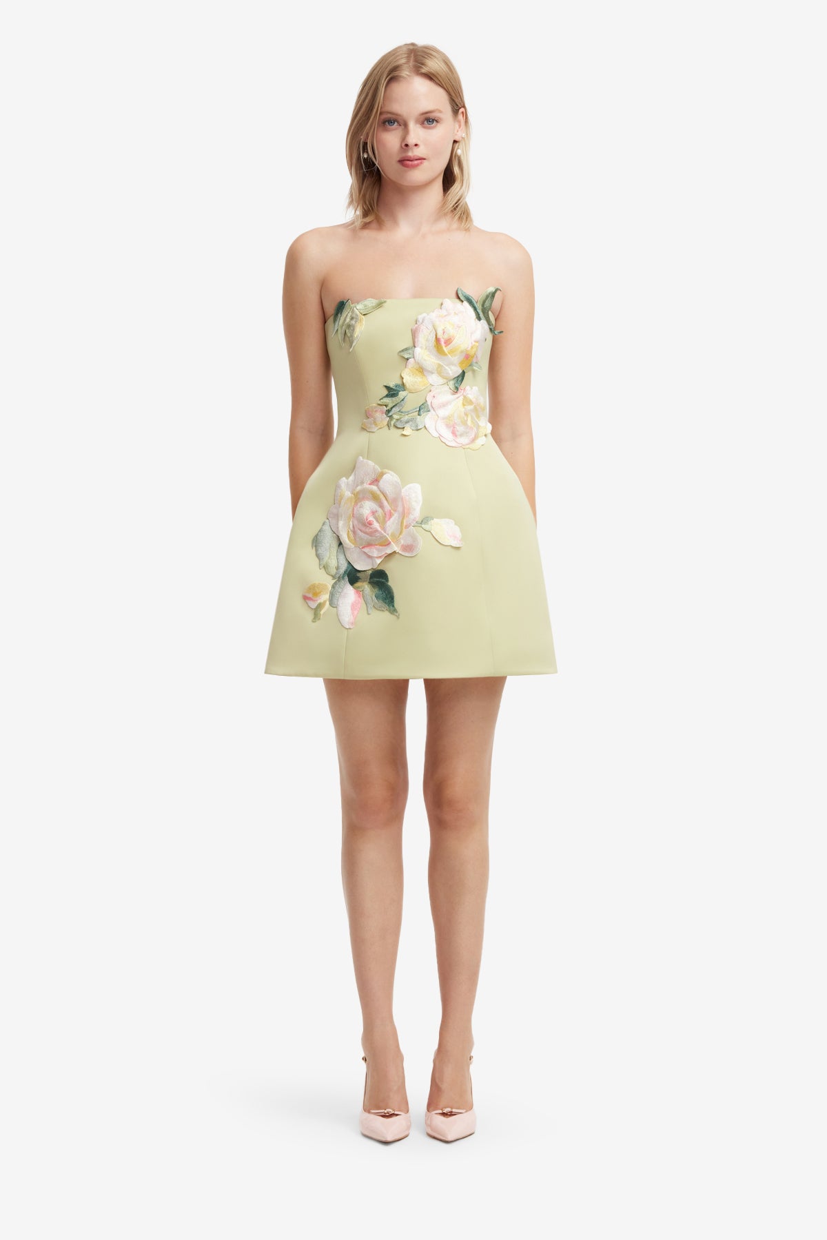 Roselle Embroidered Bustier Mini Dres