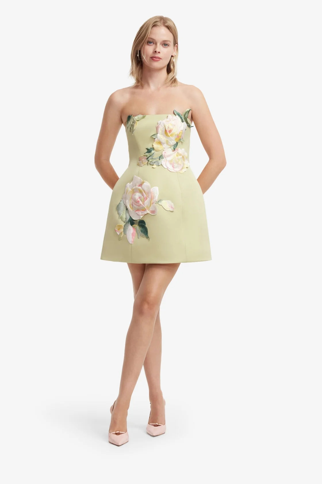 Roselle Embroidered Bustier Mini Dres