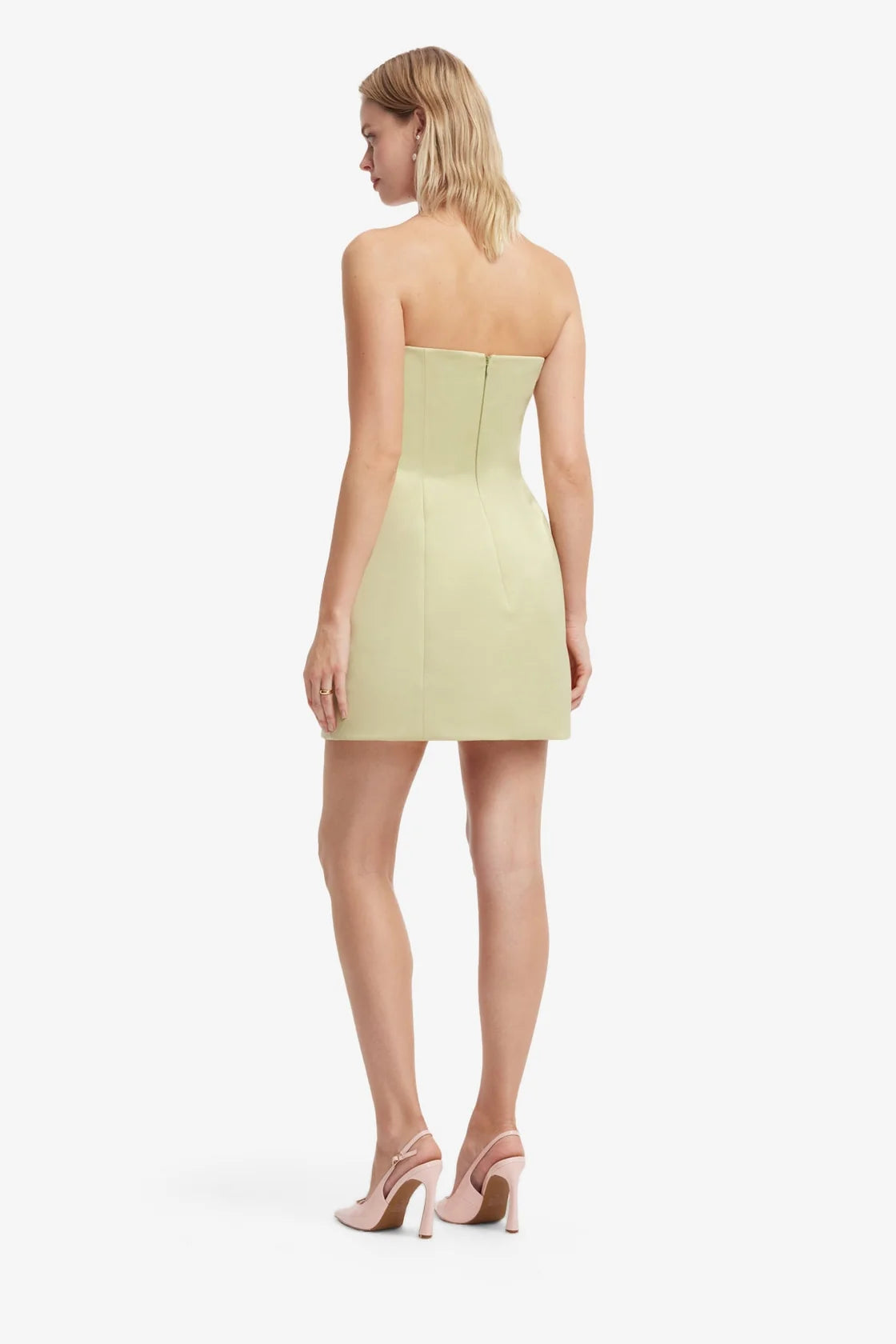 Roselle Embroidered Bustier Mini Dres