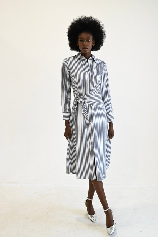 Sasha Shirt Dress