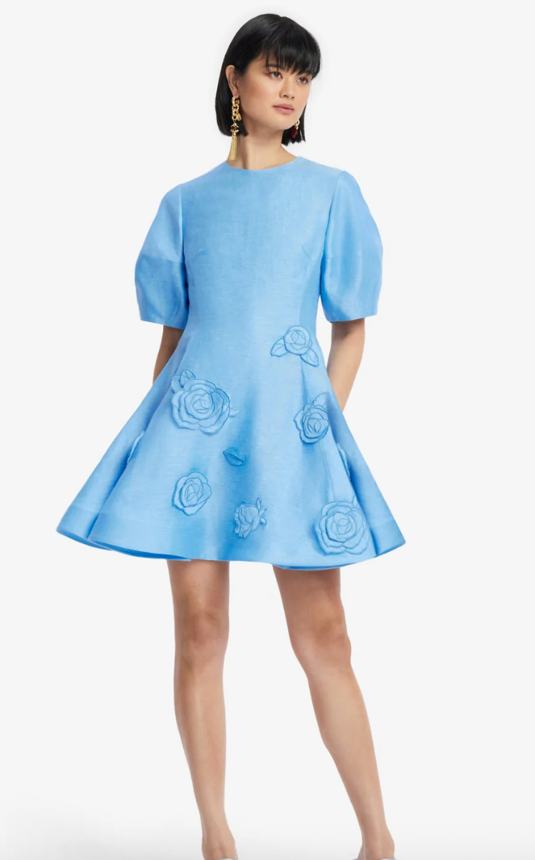 Simona Appliqué Mini Dress