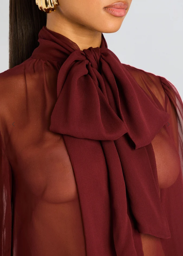 Hasli Silk Chiffon Top