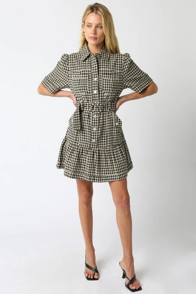Erika Checkered Belted Dress