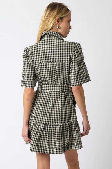 Erika Checkered Belted Dress