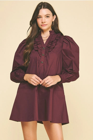 Ruffled Detail Mini Dress