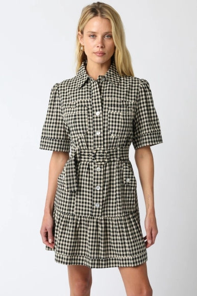 Erika Checkered Belted Dress