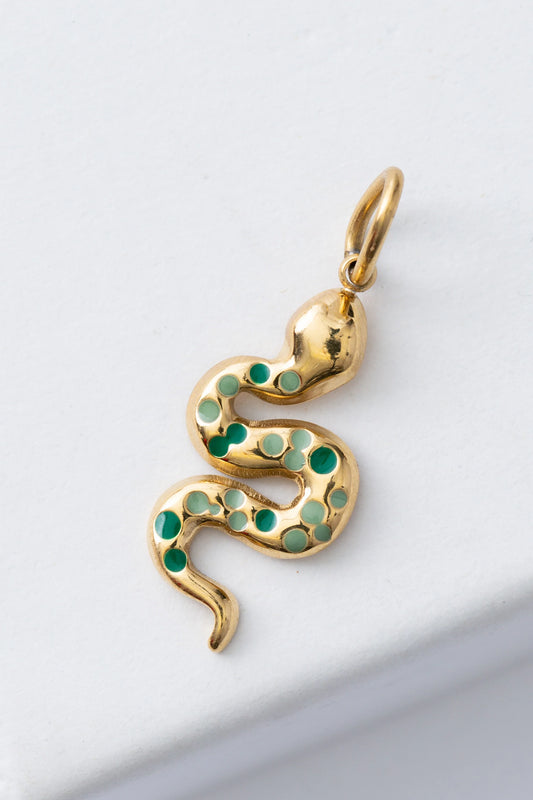 Renew Charm
