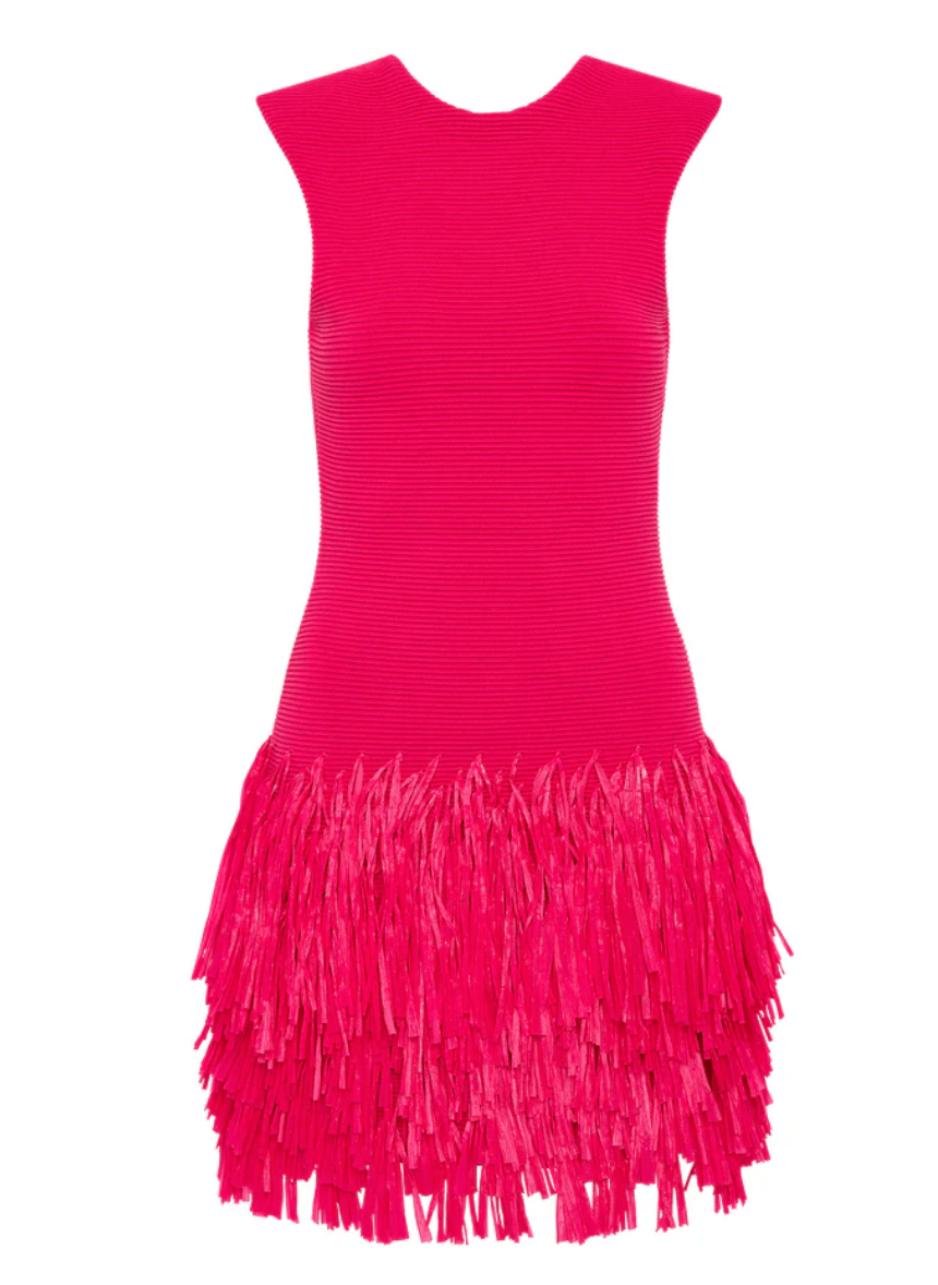 Rushes Raffia Knit Mini Dress - Frock Shop